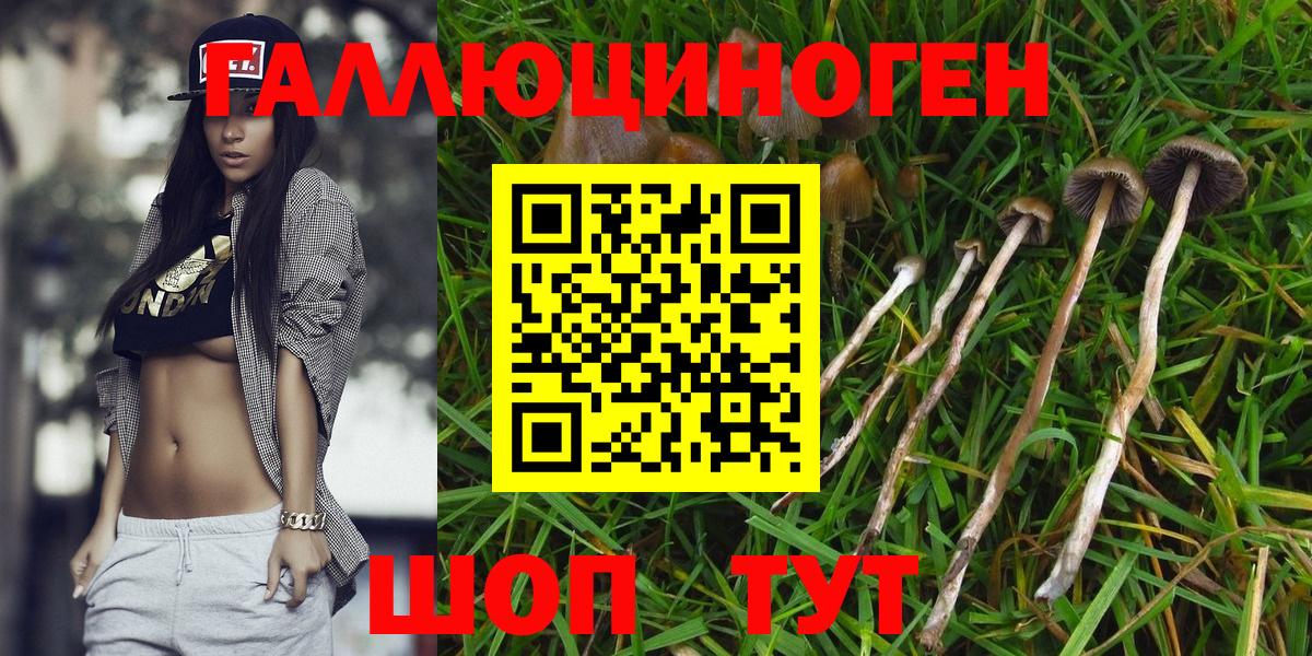 Псилоцибиновые грибы Magic Shrooms  Вход с VPN  Верхняя Салда 